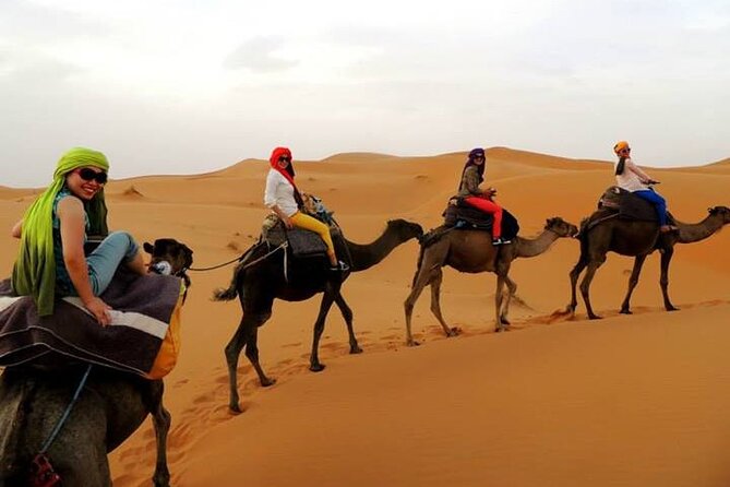 Shared Group Fez to Fez Sahara Tour 2days/1night - Itinerary and Activities