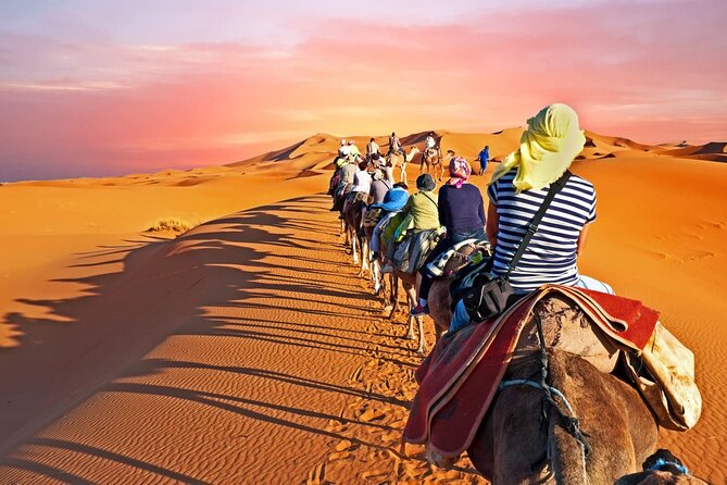 Shared Group Fez to Fez Sahara Tour 2days/1night - Booking and Cancellation