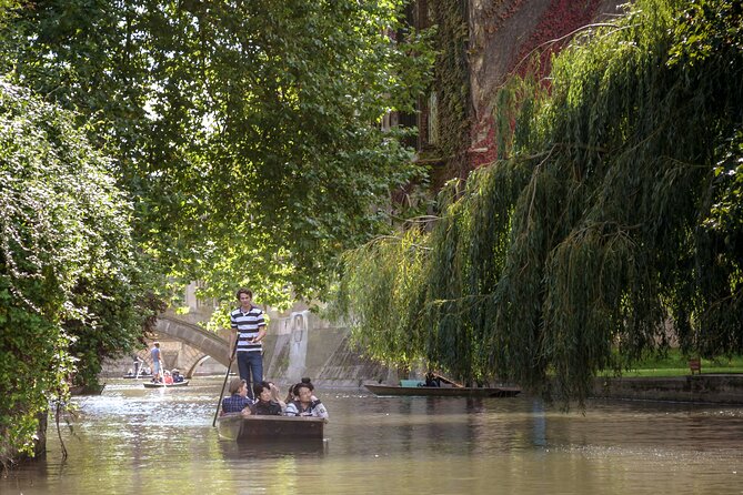 Shared Guided Punting Tour of Cambridge - College Buildings