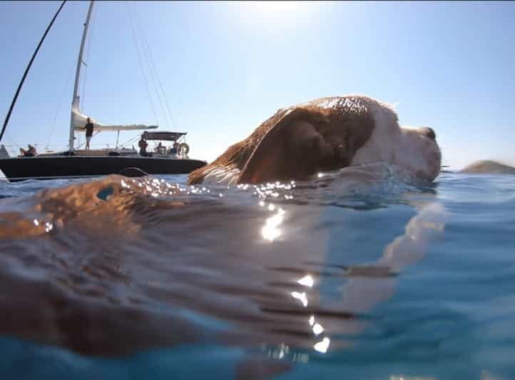 Shared Half Day Cruise in Athenian Riviera - What’s Included and What’s Not