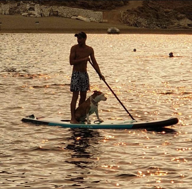 Shared Half Day Cruise in Athenian Riviera - Meeting Points and Logistics