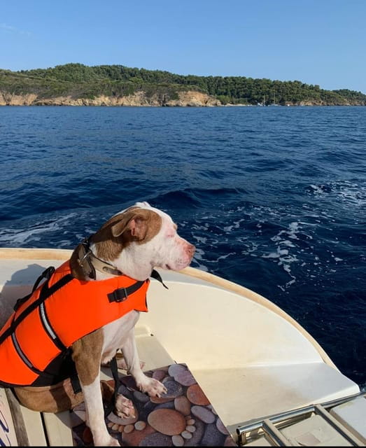 Shared Half Day Cruise in Athenian Riviera - Who Should Consider This Cruise?