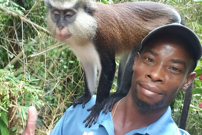 Shared Island Tour With Lunch & Admissions - Pickup Details