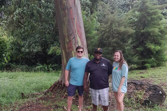 Shared Island Tour With Lunch & Admissions - Meeting Point Directions