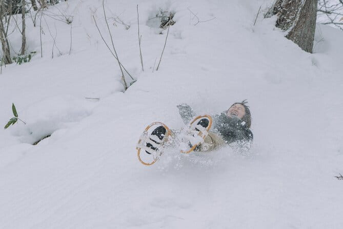 Shared Snowshoe Hiking Tour in Semboku - Key Points