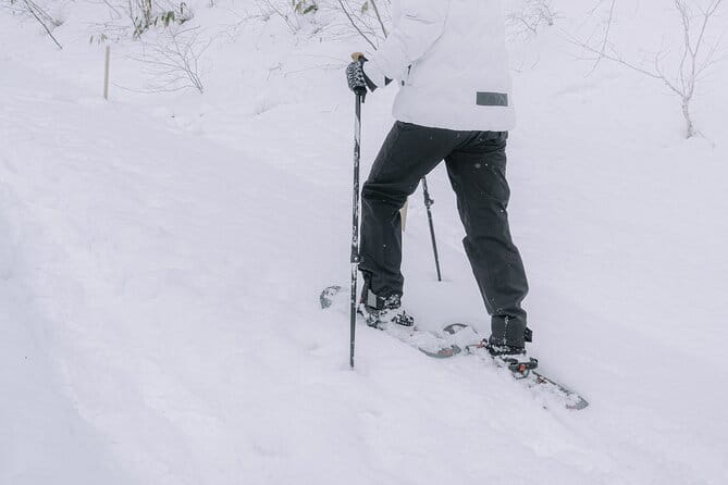 Shared Snowshoe Hiking Tour in Semboku - Physical Requirements for Participants