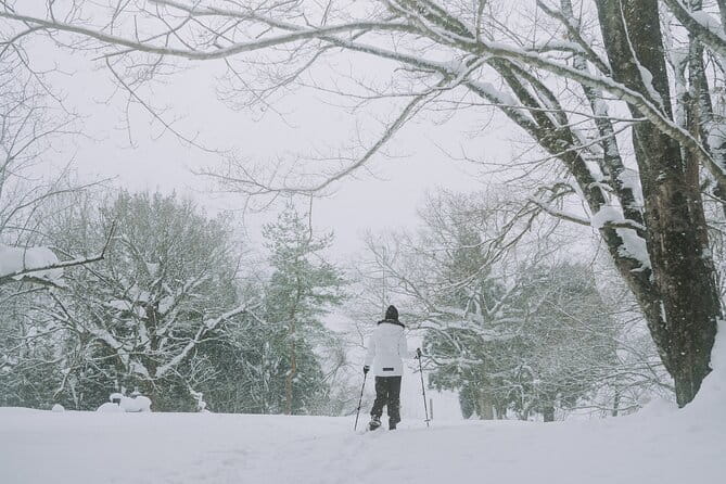 Shared Snowshoe Hiking Tour in Semboku - Booking and Cancellation Policies