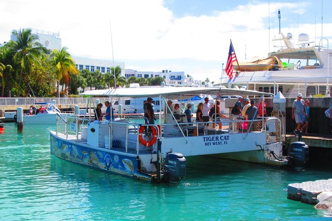 Shark and Wildlife Viewing Adventure in Key West - Eco-friendly Catamaran