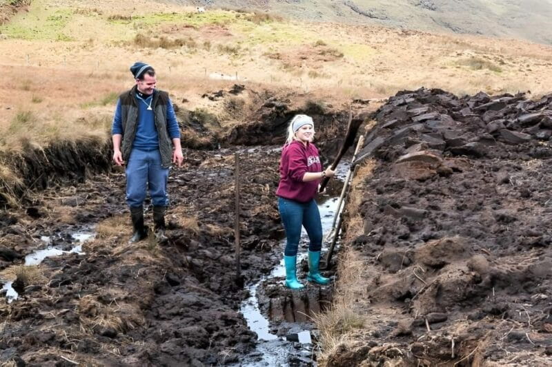 Sheepdog herding demo on working sheep farm. Galway. Guided. - Discovering a Traditional Irish Sheep Farm Near Galway