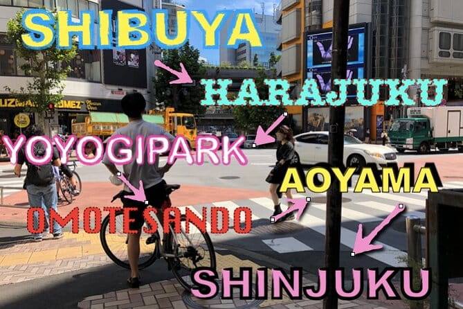 Shibuya Cycling Cruise - Tour Pace and Safety Protocols