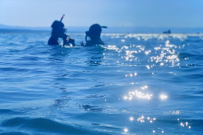 Shimoda Local Guide - Snorkeling and Marine Life