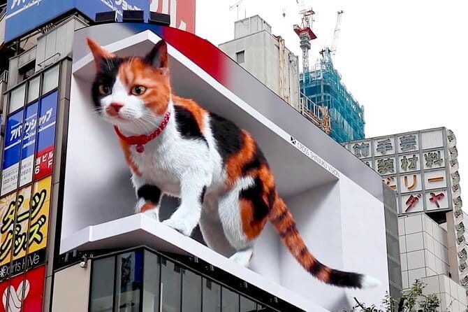 Shinjuku Night Tour and Explore Tokyo Neon Wonderland - Culinary Delights: Dinner Included