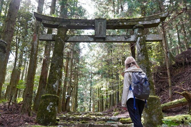 Shinrinyoku Explore the Historic Sites of Shugendo Culture - Key Points