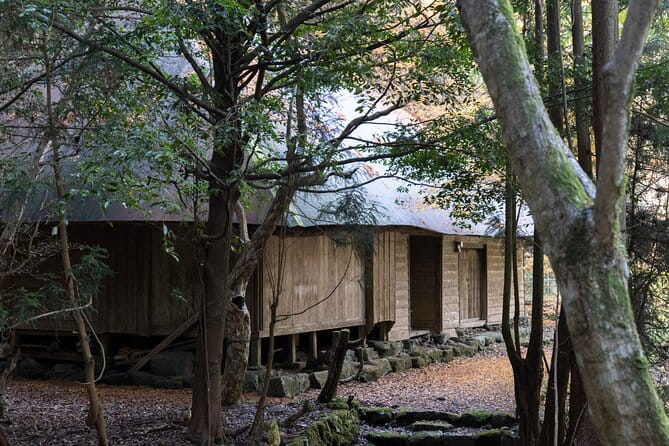 Shinrinyoku Explore the Historic Sites of Shugendo Culture - Exploring the Historic Sites of Shugendo Culture