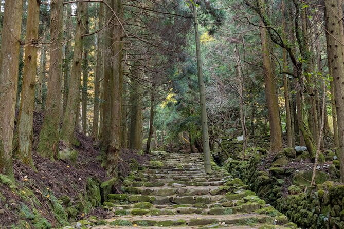 Shinrinyoku Explore the Historic Sites of Shugendo Culture - Experiencing the Essence of Japanese Tradition