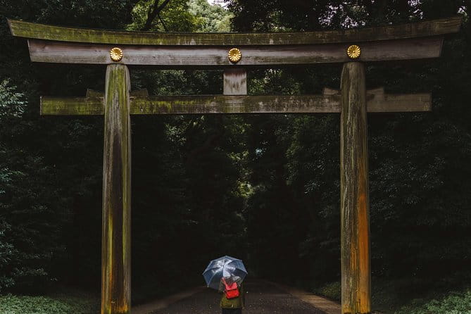 Shinto Shrine Tour: Explore Japanese Culture in Tokyo - Inclusions and Additional Options