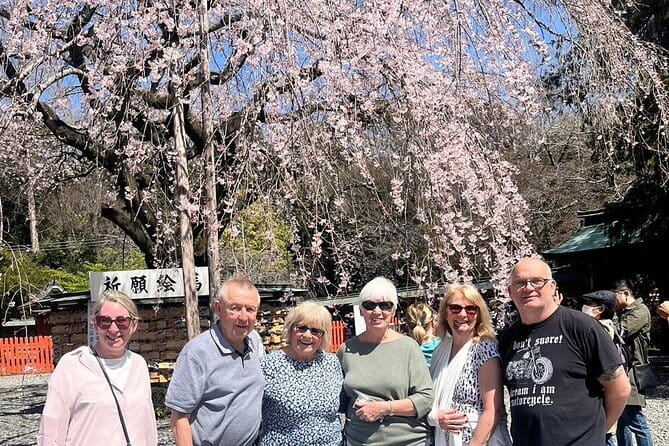 Shiraito Falls and Mt Fuji World Heritage Centre in Shizuoka /V-G - Accessibility and Suitability