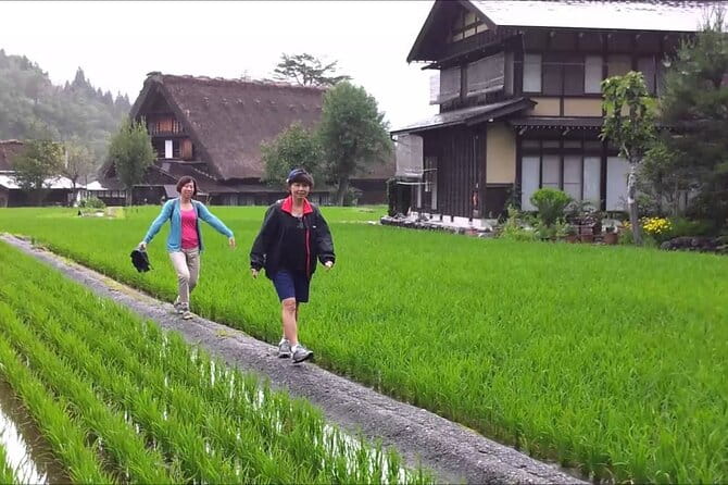 Shirakawago and Takayama Licensed Guide and Vehicle From Kanazawa - Reviews and Feedback