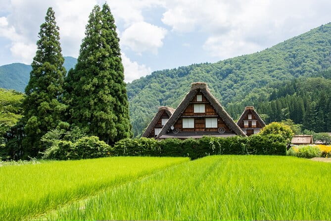Shirakawago & Gokayama Ainokura Tour - World Heritage Villages - Itinerary Highlights