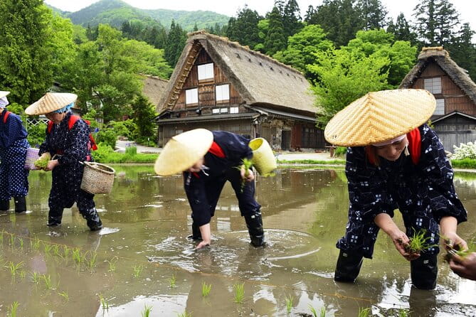 Shirakawago & Takayama Tour Kanazawa DEP: Driver Only, No Guide - Pricing and Cancellation Policy