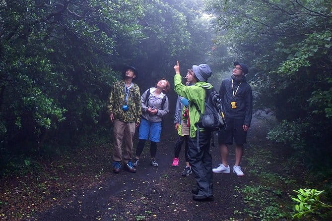 Shiratani-Unsuikyo Trekking Tour in Yakushima Island - Hiking Routes and Customization Options