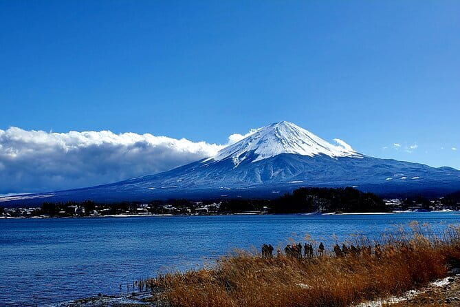 Shizuoka 6hr Private Tour and Japanese Tea Farm Tour With Vehicle - Frequently Asked Questions