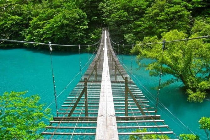 Shizuoka/Shimizu Mt Fuji View 6 Hr Private Tour: Guide Only - Whats Included