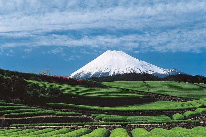 Shizuoka/Shimizu Mt Fuji View 6 Hr Private Tour: Guide Only - Booking and Cancellation Policy