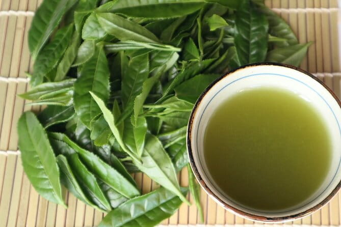 Shizuoka Tea Picking Private Experience - The Art of Tea Picking