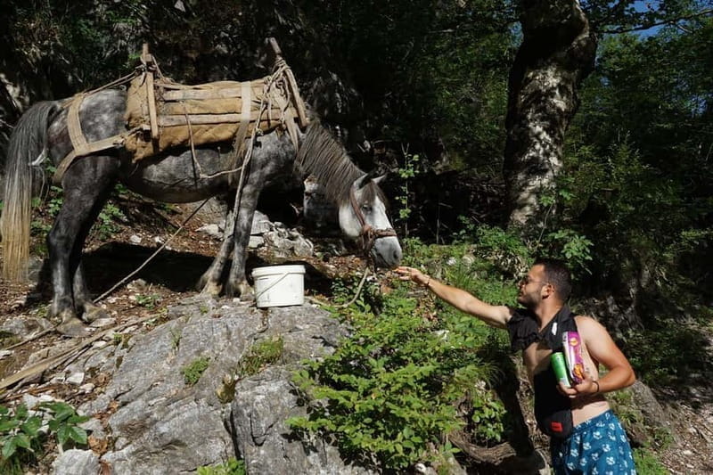 Shkoder: Albanian Alps and Theth Village Day Tour - Final Thoughts: Is It Worth It?