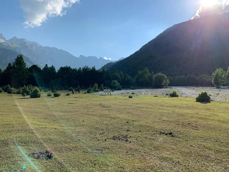 Shkoder: Transfers to Valbona/Theth/Shala River. Both ways. - A Detailed Look at the Transfer Experience