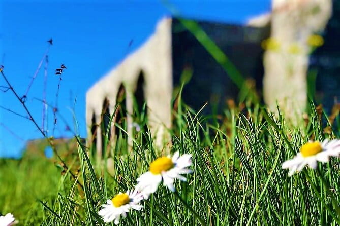 Shkodra, Full Day Trip from Tirana - Key points / Takeaways