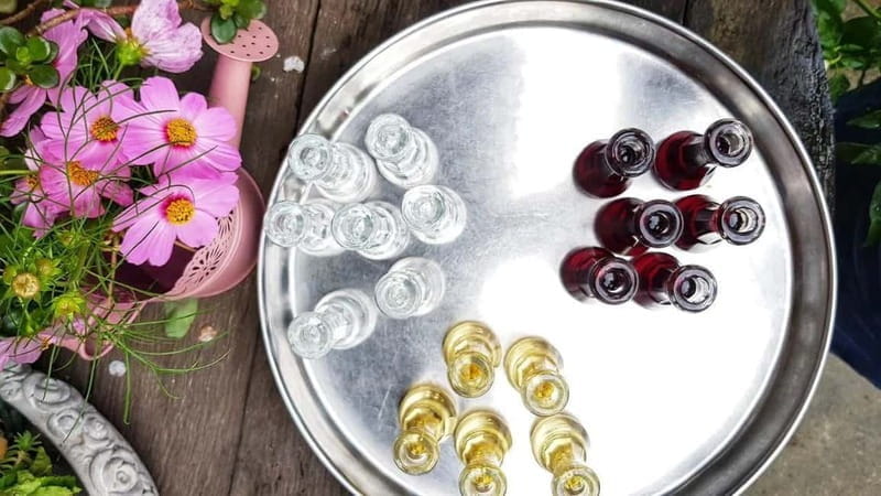 Shkodra: Walking Tour with Traditional Dinner - Starting Point: The Heart of Shkodra