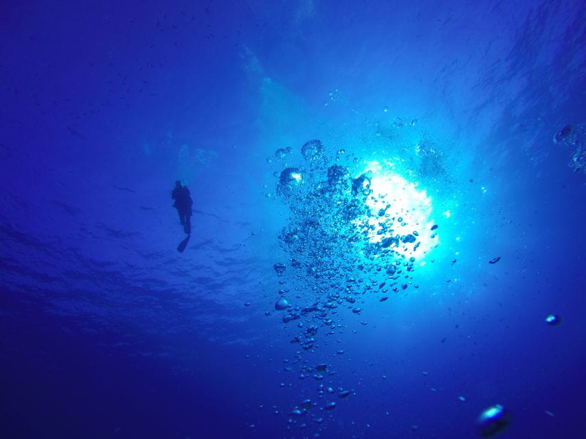 Shore Discover Scuba Diving Experience - Open Water Dive