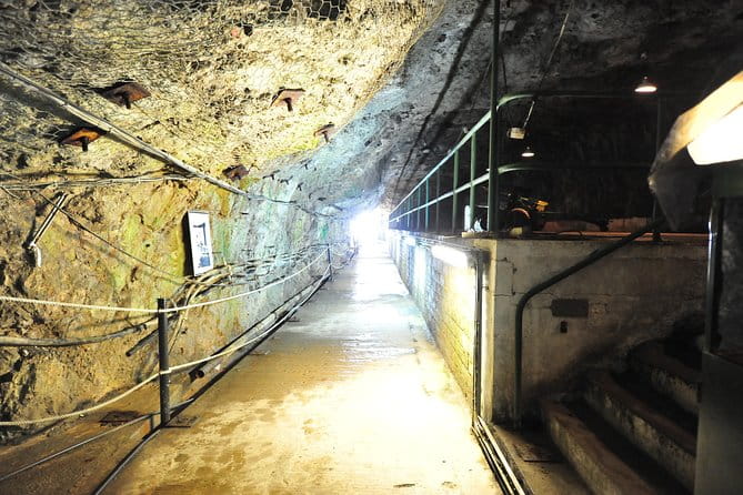 SHORE EXCURSION 3hrs Tunnel Tour - Who Should Book This Tour?