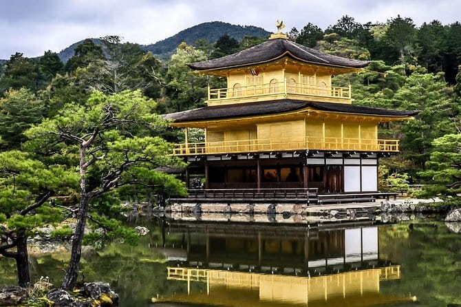 Shore Excursion: Day Trip To Kyoto From Osaka Port - Traveler Experiences and Feedback