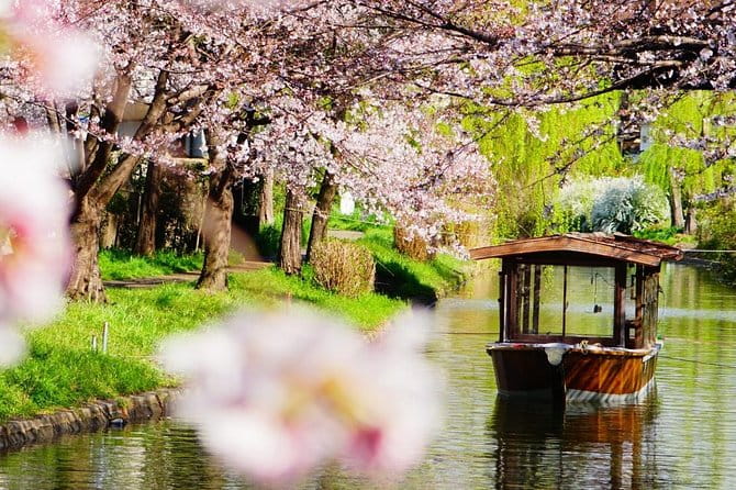 Shore Excursion: Day Trip To Kyoto From Osaka Port - Transportation and Logistics