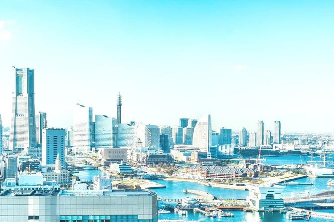 Shore Excursion: Day Trip To Tokyo From Yokohama Port - Traveler Reviews and Feedback