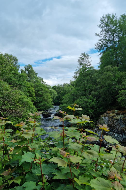 Shore excursion from Invergordon - Castles, Scenery & Whisky - FAQ