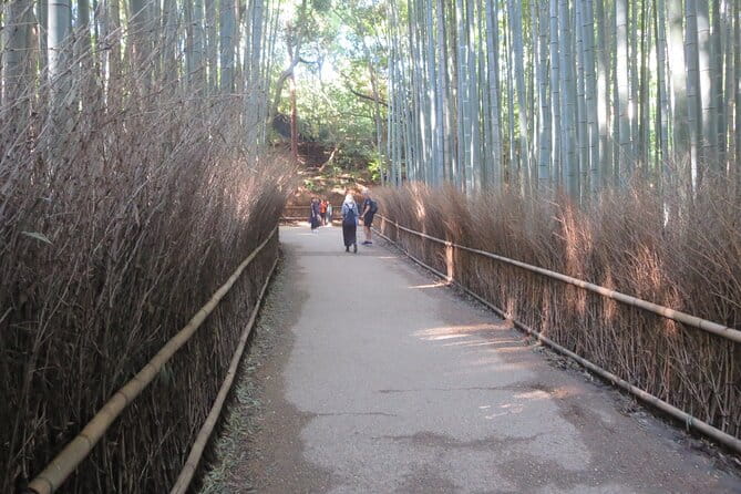 Shore Excursion: Full Day Private Kyoto Tour From Osaka/Kobe Port - Navigating the Transportation Costs