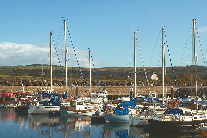 Shore Excursion: Giants Causeway Tour From Belfast Port - Cancellation and Accessibility Details
