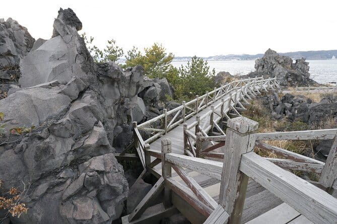 Shore Excursion Tour From Kagoshima Port - Accessibility and Requirements