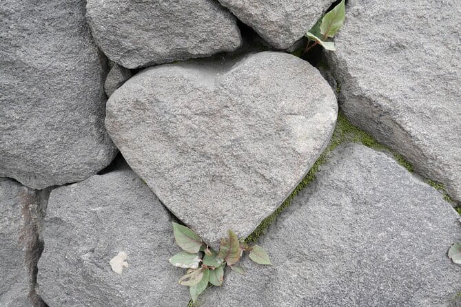 Shore Excursion Tour From Kagoshima Port - Cuisine and Dining