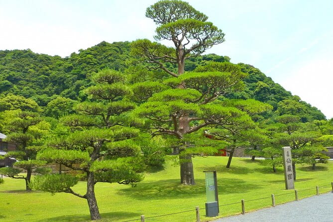 Shore Excursion Tour From Kagoshima Port - Gratuities and Tipping