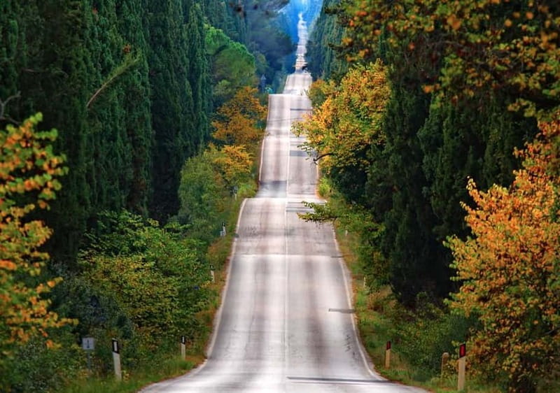 Shore Trip from La Spezia: Pisa,Lucca,lunch & tasting Winery - Key Points / Takeaways