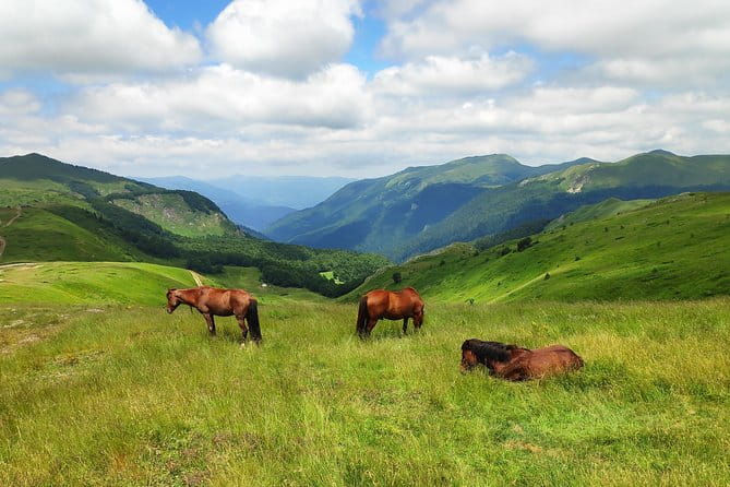 Short Horseback riding - Kolasin - Key points / Takeaways