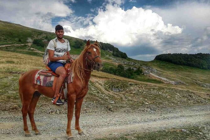 Short Horseback riding - Kolasin - What to Expect from the Experience