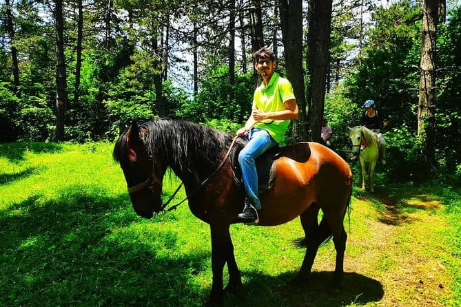 Short Horseback riding - Kolasin - Price and Value