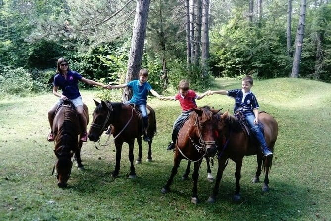 Short Horseback riding - Kolasin - Concluding Thoughts