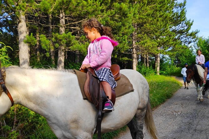 Short Horseback riding - Kolasin - FAQ